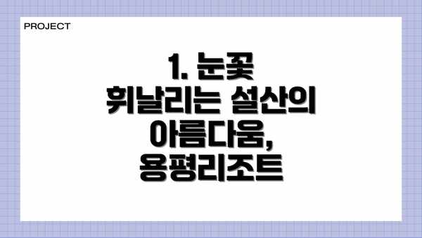1. 눈꽃 휘날리는 설산의 아름다움, 용평리조트