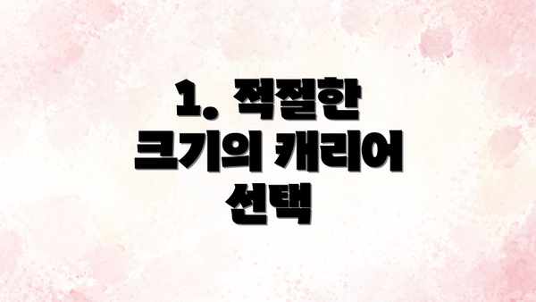 1. 적절한 크기의 캐리어 선택