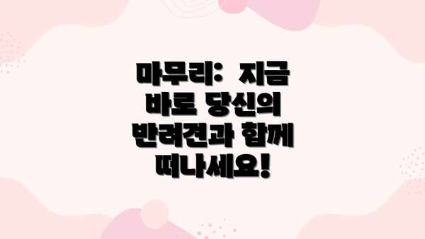 마무리:  지금 바로 당신의 반려견과 함께 떠나세요!