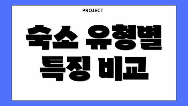숙소 유형별 특징 비교