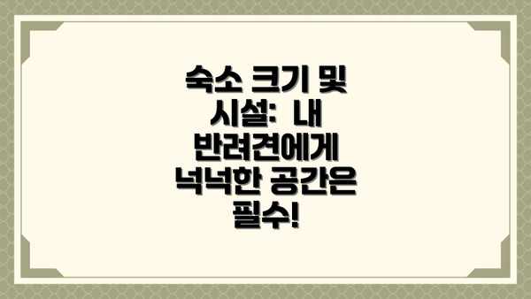 숙소 크기 및 시설:  내 반려견에게 넉넉한 공간은 필수!