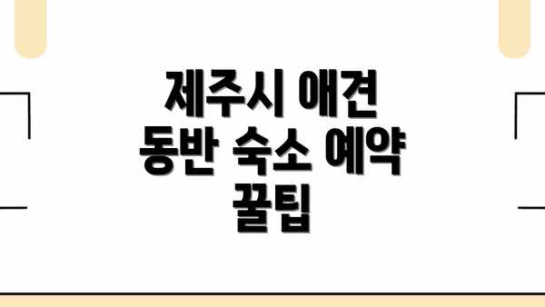 제주시 애견 동반 숙소 예약 꿀팁