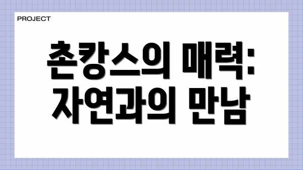 촌캉스의 매력: 자연과의 만남
