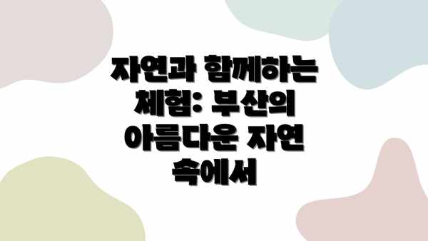 자연과 함께하는 체험: 부산의 아름다운 자연 속에서
