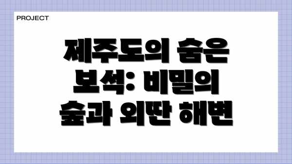 제주도의 숨은 보석: 비밀의 숲과 외딴 해변