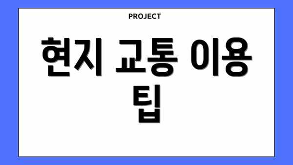 현지 교통 이용 팁