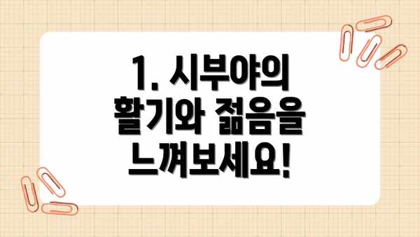 1. 시부야의 활기와 젊음을 느껴보세요!