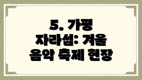 5. 가평 자라섬: 겨울 음악 축제 현장
