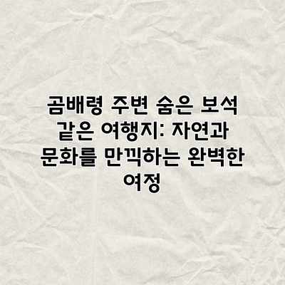곰배령 주변 숨은 보석 같은 여행지: 자연과 문화를 만끽하는 완벽한 여정 곰배령 주변 숨은 보석 같은 여행지: 자연과 문화를 만끽하는 완벽한 여정