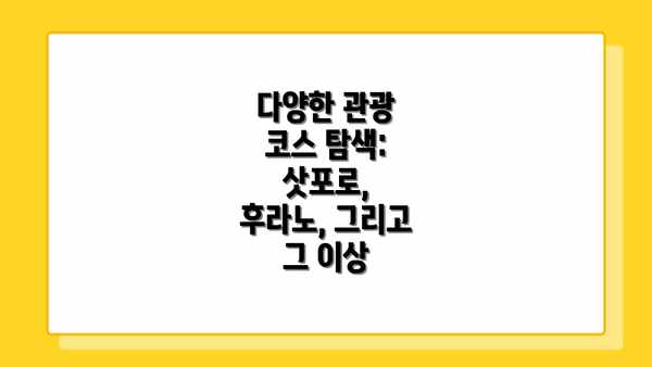 다양한 관광 코스 탐색: 삿포로, 후라노, 그리고 그 이상