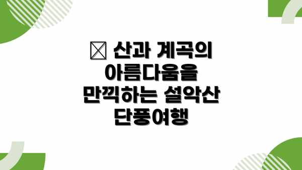 🍂 산과 계곡의 아름다움을 만끽하는 설악산 단풍여행