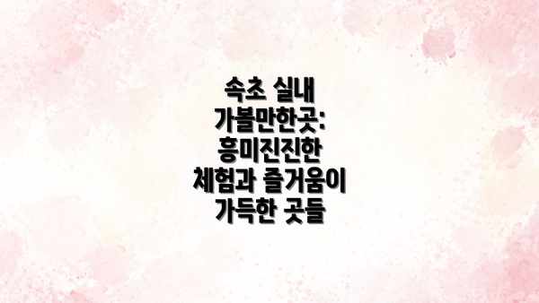 속초 실내 가볼만한곳: 흥미진진한 체험과 즐거움이 가득한 곳들