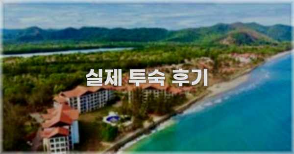 💬 실제 투숙 후기