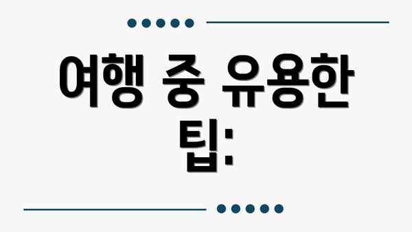 여행 중 유용한 팁: