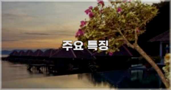 ✨ 주요 특징