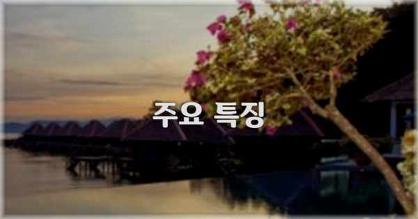 ✨ 주요 특징