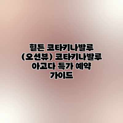 힐튼 코타키나발루 (오션뷰) 코타키나발루 아고다 특가 예약 가이드 힐튼 코타키나발루 (오션뷰) 코타키나발루 아고다 특가 예약 가이드