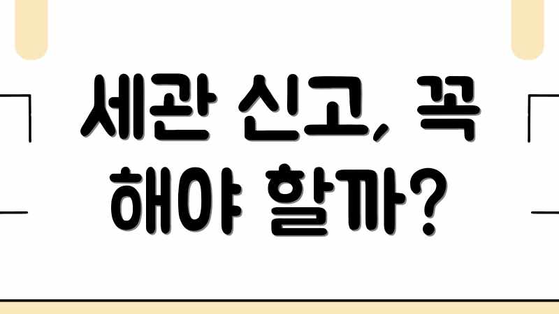 세관 신고, 꼭 해야 할까?