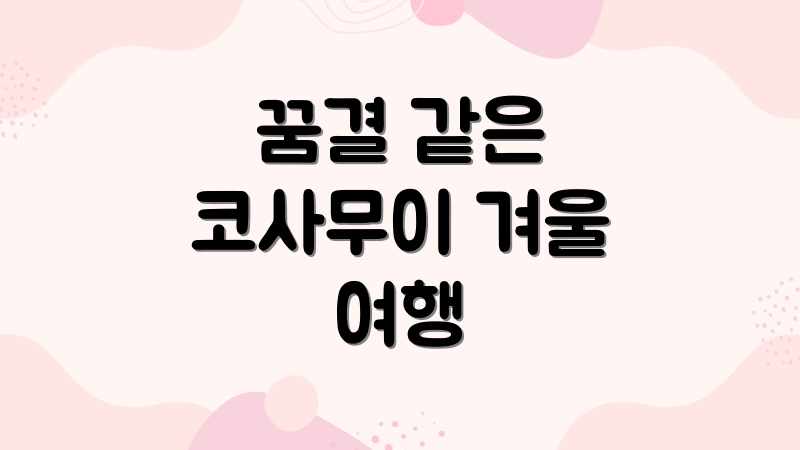 꿈결 같은 코사무이 겨울 여행
