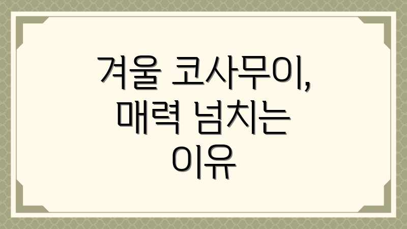 겨울 코사무이, 매력 넘치는 이유