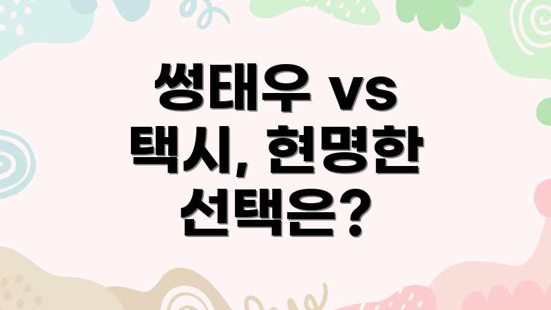 썽태우 vs 택시, 현명한 선택은?