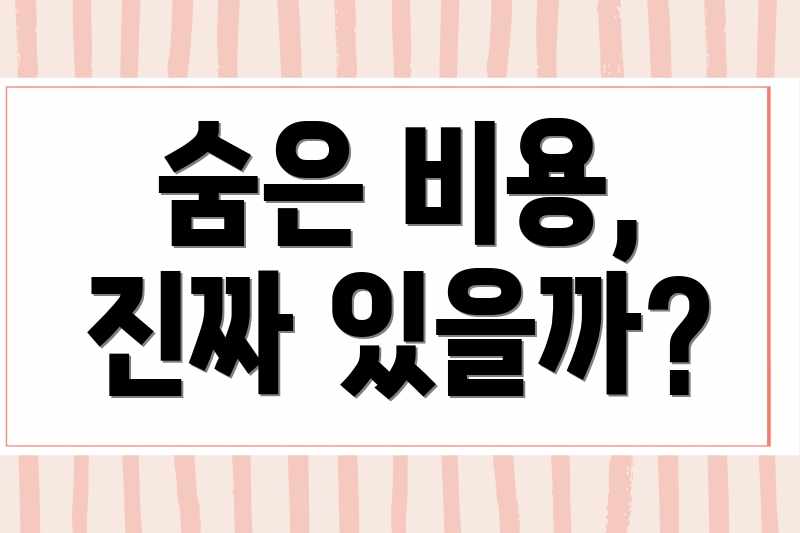 숨은 비용, 진짜 있을까?