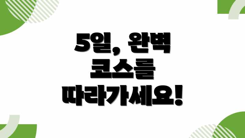 5일, 완벽 코스를 따라가세요!