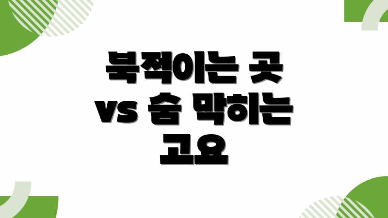 북적이는 곳 vs 숨 막히는 고요