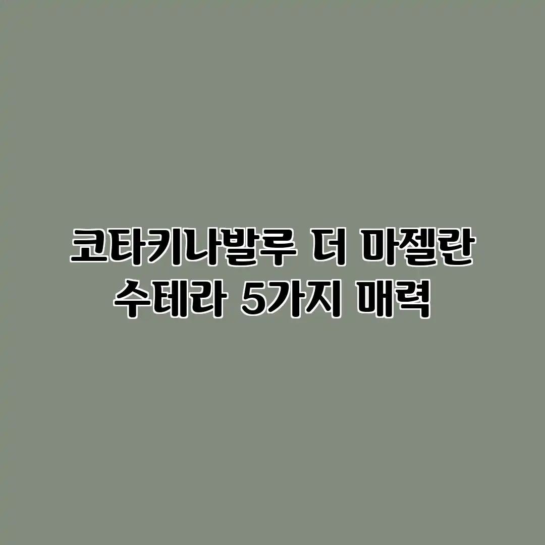코타키나발루 더 마젤란 수테라 5가지 매력 코타키나발루 더 마젤란 수테라 5가지 매력
