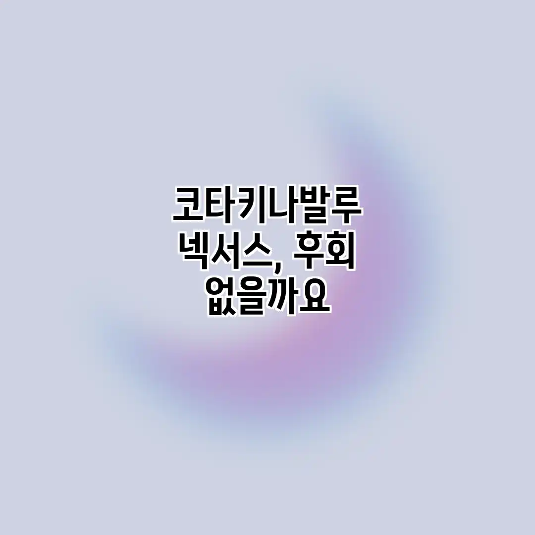코타키나발루 넥서스, 후회 없을까요? 코타키나발루 넥서스, 후회 없을까요?
