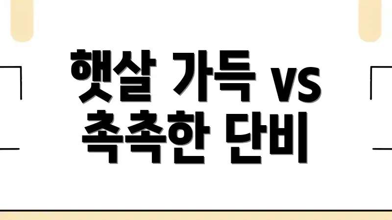 햇살 가득 vs 촉촉한 단비