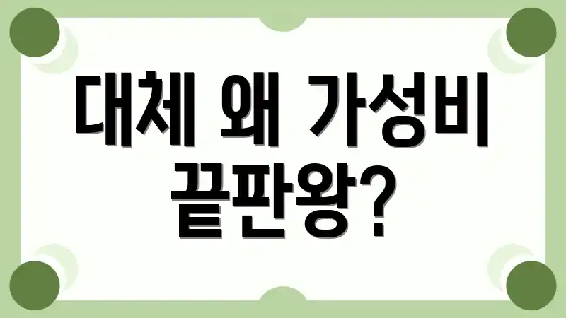 대체 왜 가성비 끝판왕?