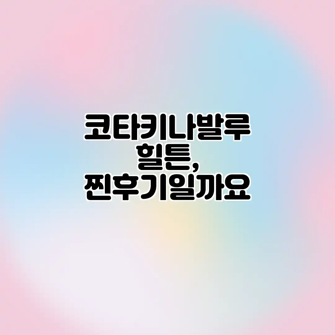 코타키나발루 힐튼, 찐후기일까요? 코타키나발루 힐튼, 찐후기일까요?