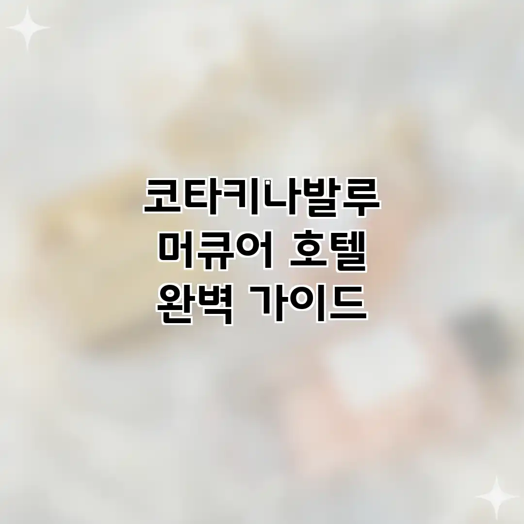 코타키나발루 머큐어 호텔 완벽 가이드 코타키나발루 머큐어 호텔 완벽 가이드