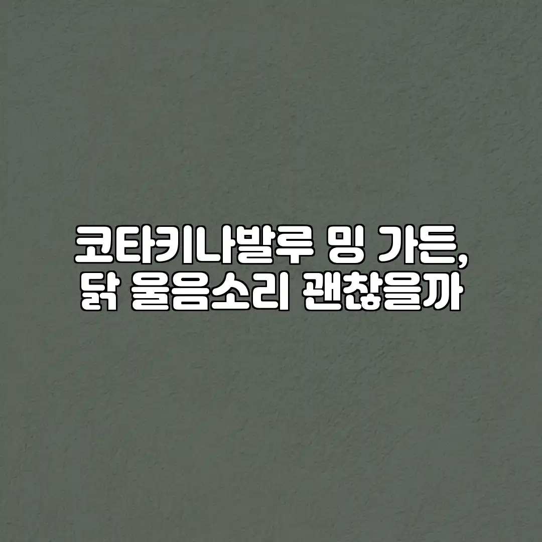 코타키나발루 밍 가든, 닭 울음소리 괜찮을까?