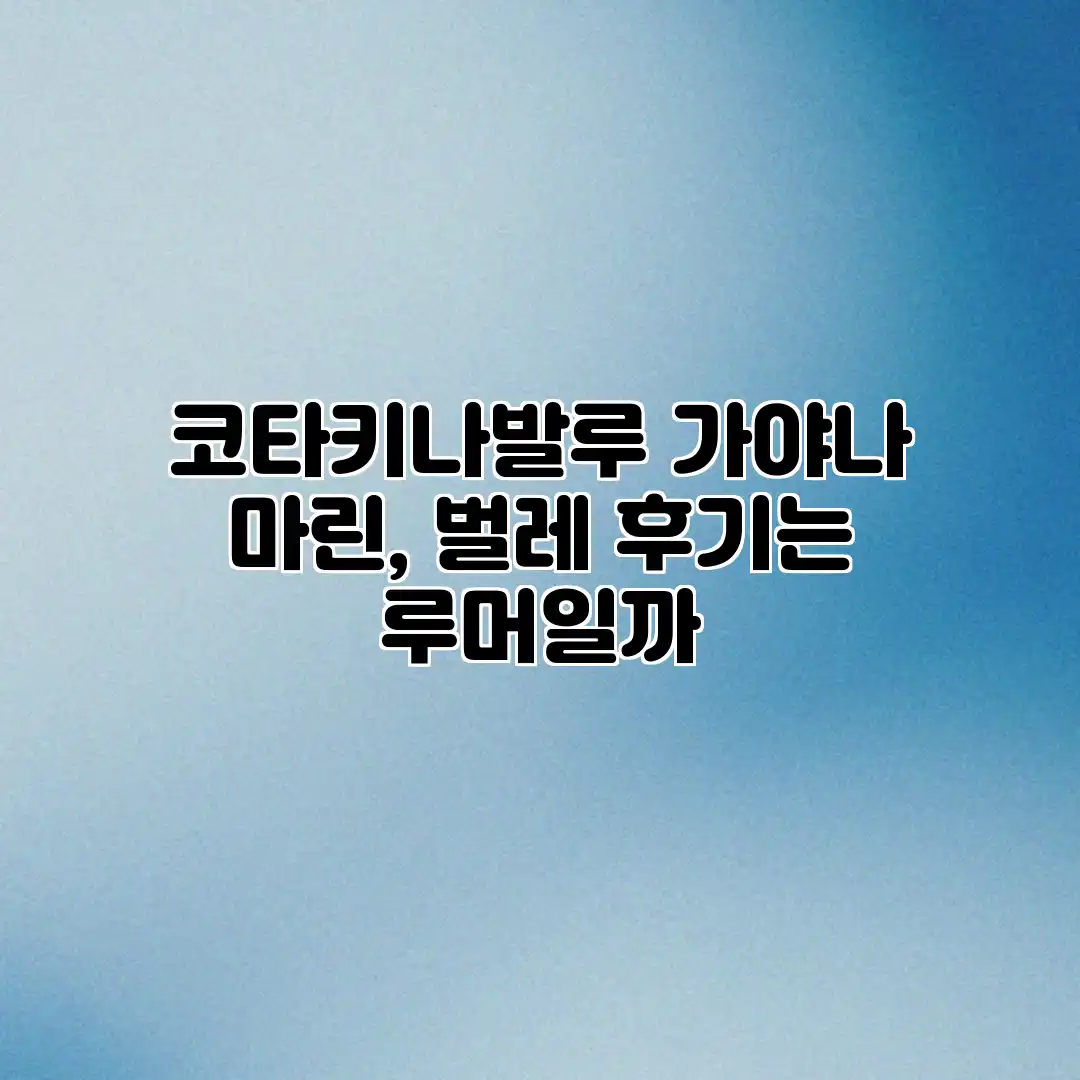 코타키나발루 가야나 마린, 벌레 후기는 루머일까? 코타키나발루 가야나 마린, 벌레 후기는 루머일까?