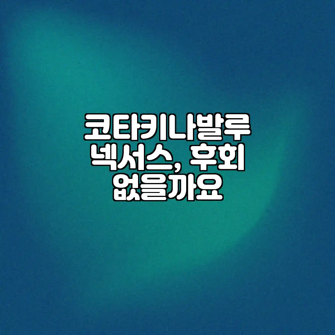 코타키나발루 넥서스, 후회 없을까요?