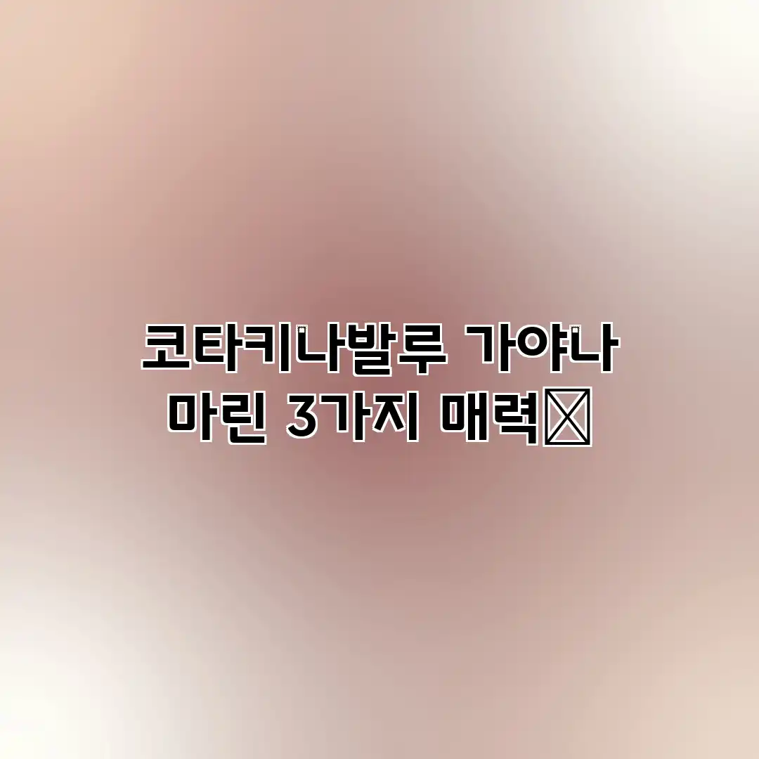 코타키나발루 가야나 마린 3가지 매력✨ 코타키나발루 가야나 마린 3가지 매력✨