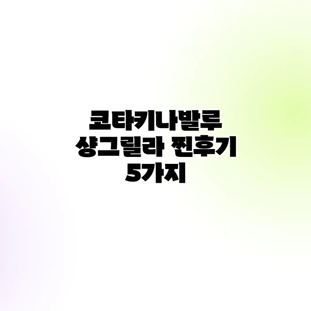 코타키나발루 샹그릴라 찐후기 5가지 코타키나발루 샹그릴라 찐후기 5가지